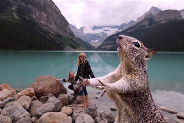 Klyker Picdump #1403 (53 photos)