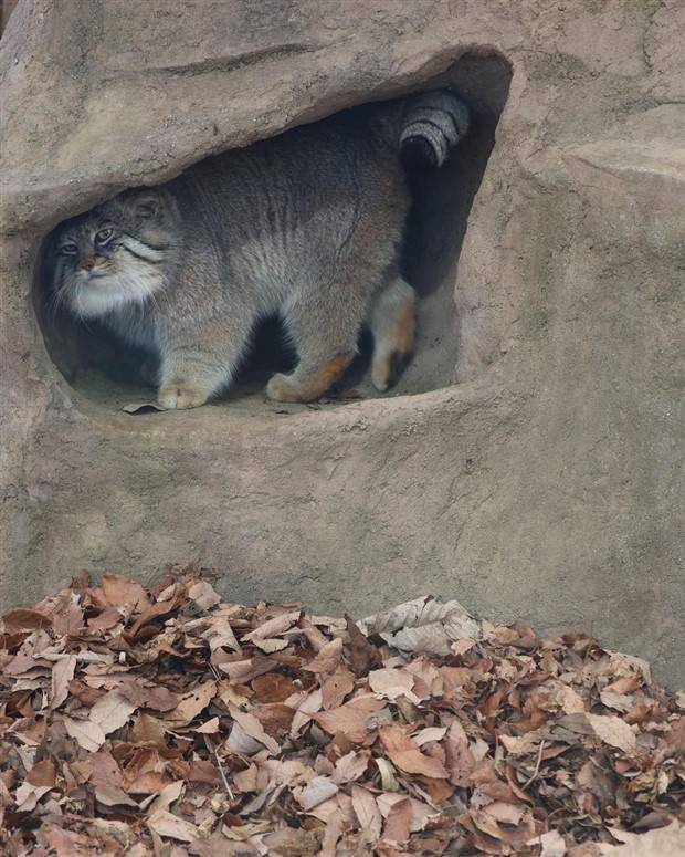 Klyker Picdump #1403 (53 photos)