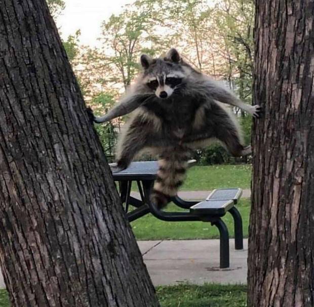 Klyker Picdump #1403 (53 photos)