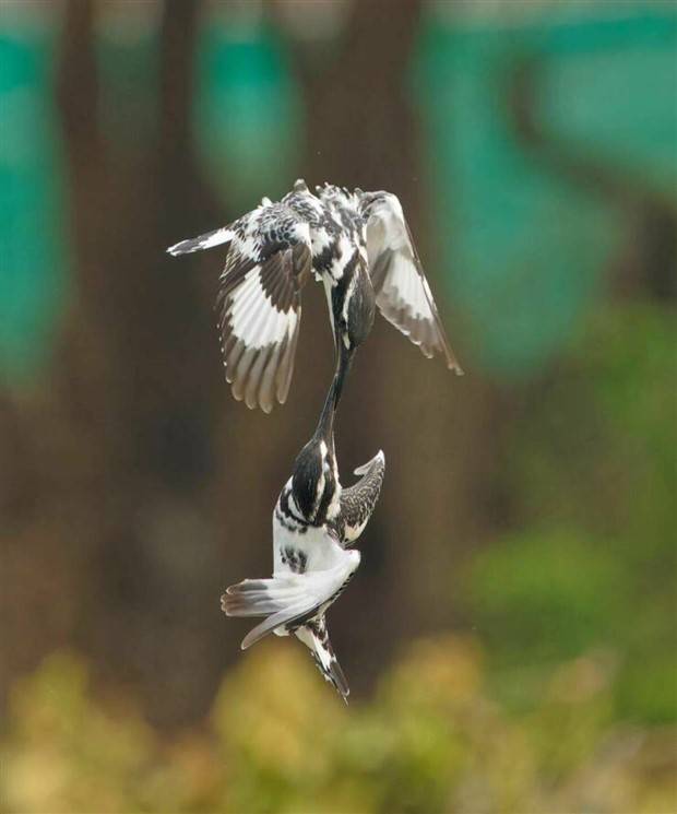 Klyker Picdump #1403 (53 photos)