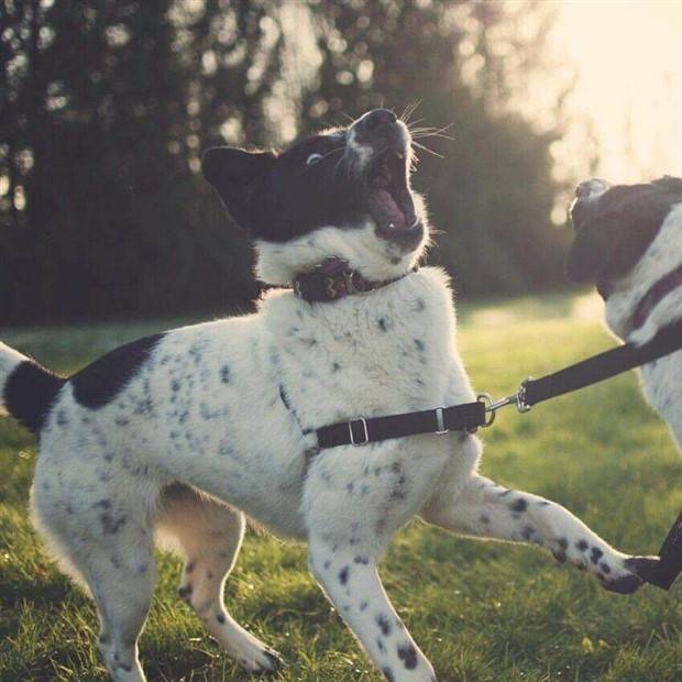 Klyker Picdump #1404 (54 photos)