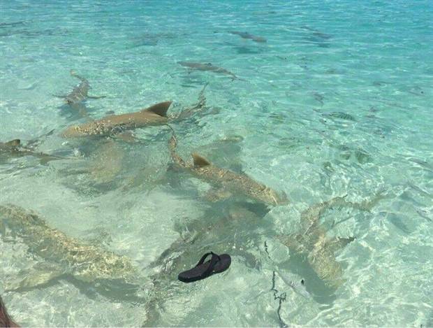 Klyker Picdump #1404 (54 photos)