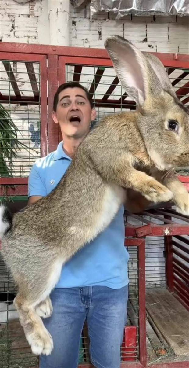 Klyker Picdump #1404 (54 photos)