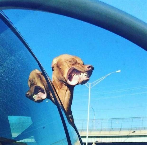 Klyker Picdump #1404 (54 photos)