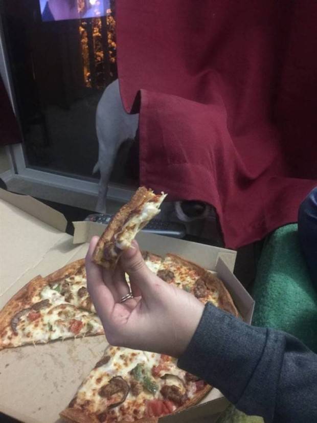 Klyker Picdump #1404 (54 photos)