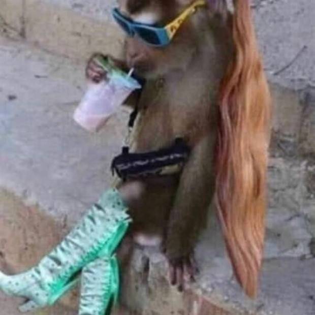 Klyker Picdump #1404 (54 photos)