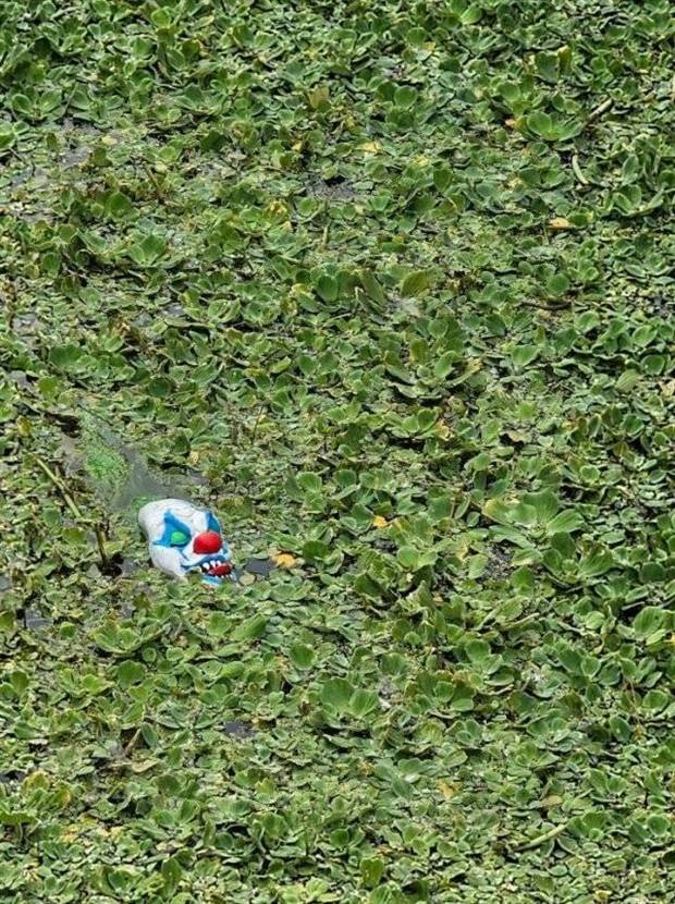 Klyker Picdump #1404 (54 photos)