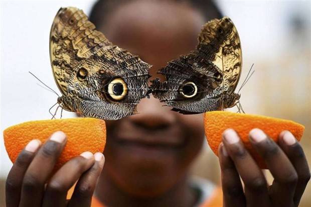 Klyker Picdump #1405 (55 photos)