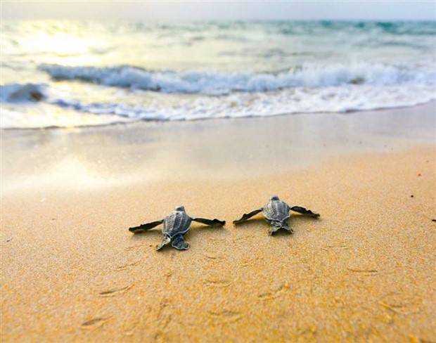 Klyker Picdump #1405 (55 photos)