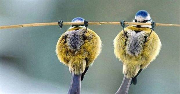 Klyker Picdump #1405 (55 photos)