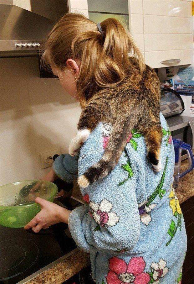 Klyker Picdump #1405 (55 photos)