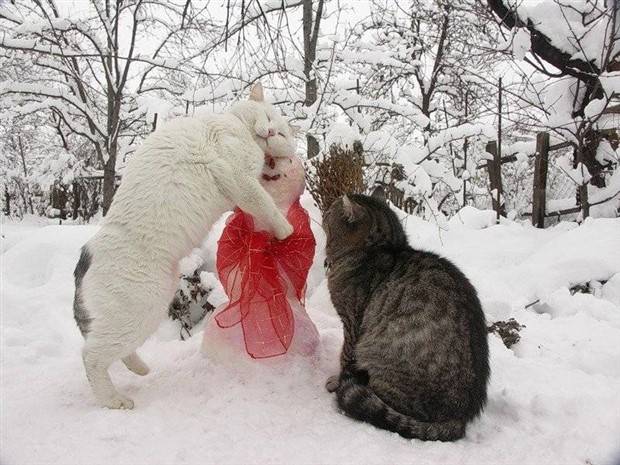 Klyker Picdump #1405 (55 photos)