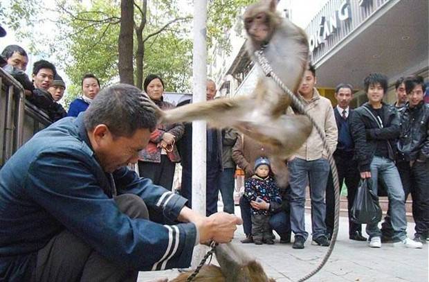 Klyker Picdump #1405 (55 photos)