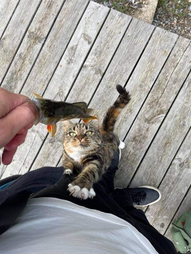 Klyker Picdump #1405 (55 photos)