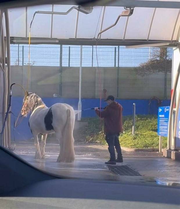 Klyker Picdump #1391 (51 photos)