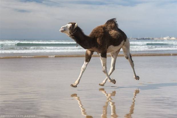 Klyker Picdump #1391 (51 photos)