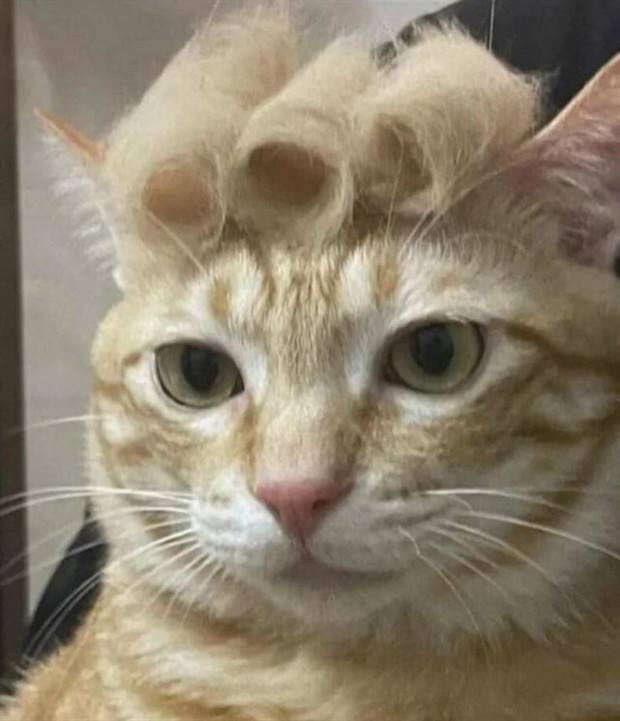 Klyker Picdump #1391 (51 photos)