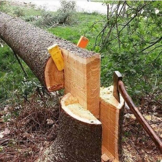 Klyker Picdump #1391 (51 photos)