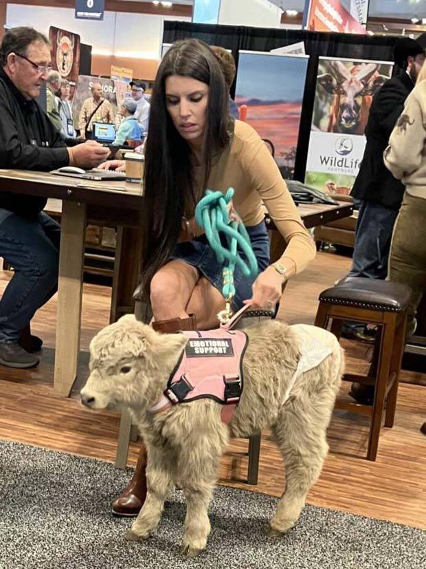 Klyker Picdump #1391 (51 photos)