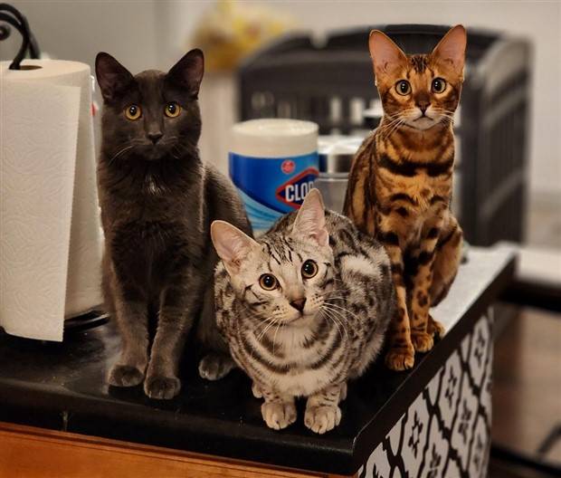 Klyker Picdump #1392 (52 photos)