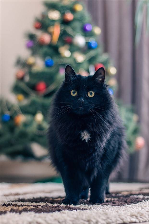 Klyker Picdump #1392 (52 photos)