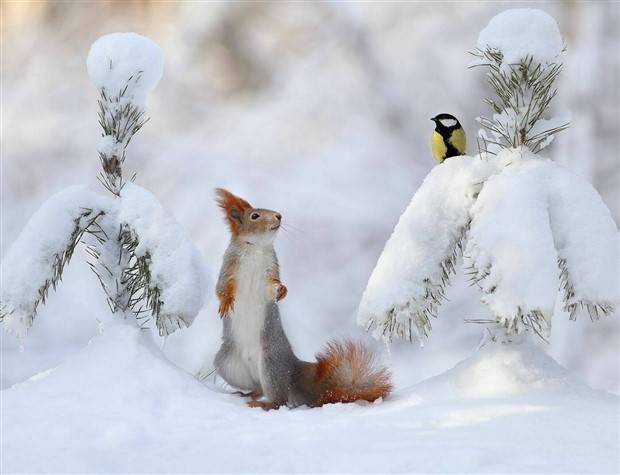 Klyker Picdump #1392 (52 photos)