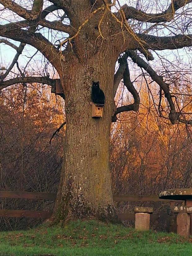 Klyker Picdump #1392 (52 photos)