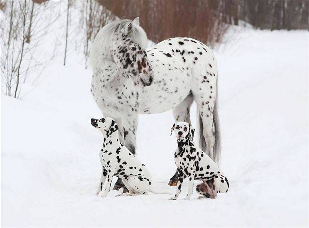 Klyker Picdump #1392 (52 photos)