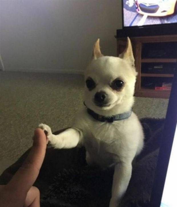 Klyker Picdump #1392 (52 photos)