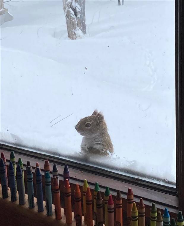 Klyker Picdump #1392 (52 photos)