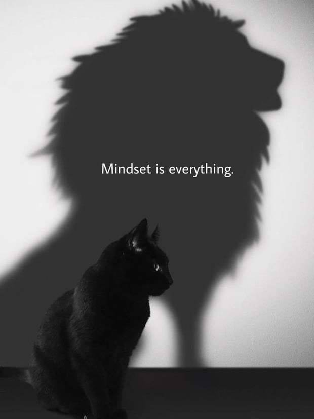 Motivational Quotes, Because It’s Monday #90 (24 photos)