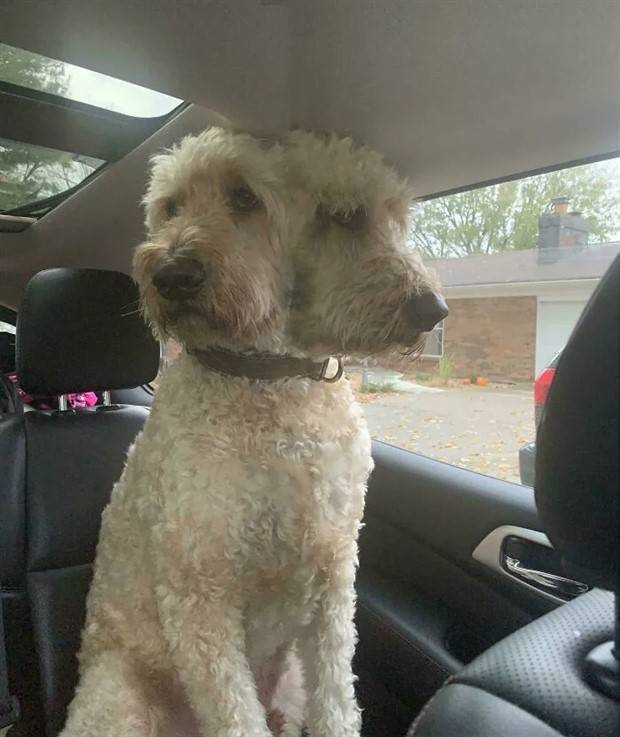 25 Mind Bending Panoramic Blunders (25 photos)