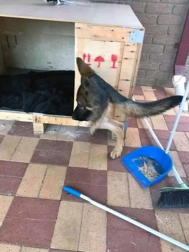 25 Mind Bending Panoramic Blunders (25 photos)