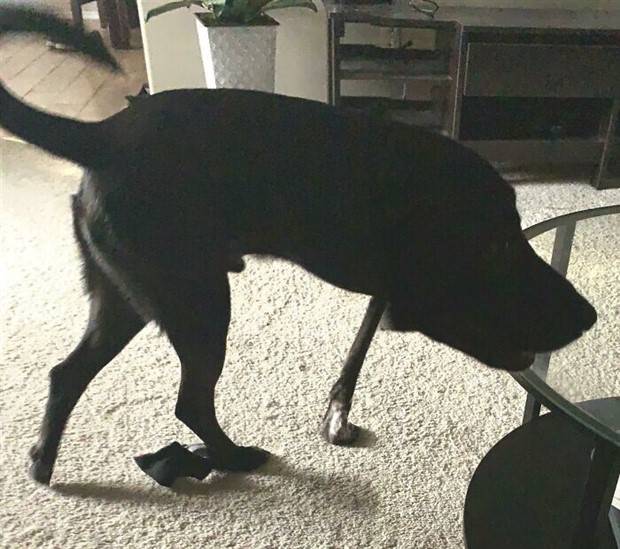 25 Mind Bending Panoramic Blunders (25 photos)