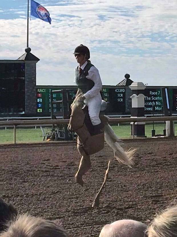 25 Mind Bending Panoramic Blunders (25 photos)