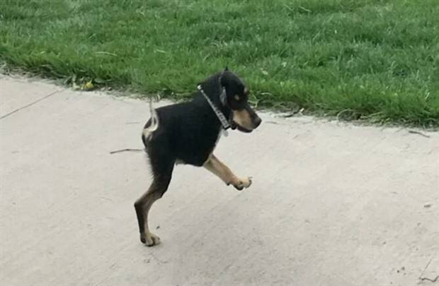 25 Mind Bending Panoramic Blunders (25 photos)