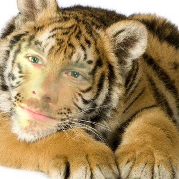 Photoshopped Hilarity Unleashed in Pictures (45 photos)