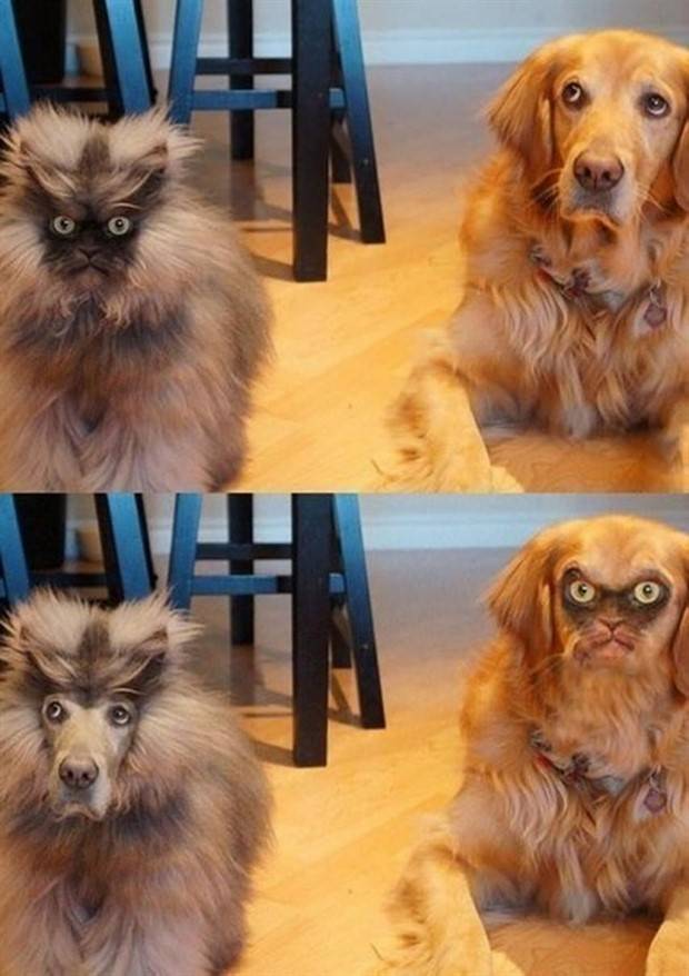 Photoshopped Hilarity Unleashed in Pictures (45 photos)