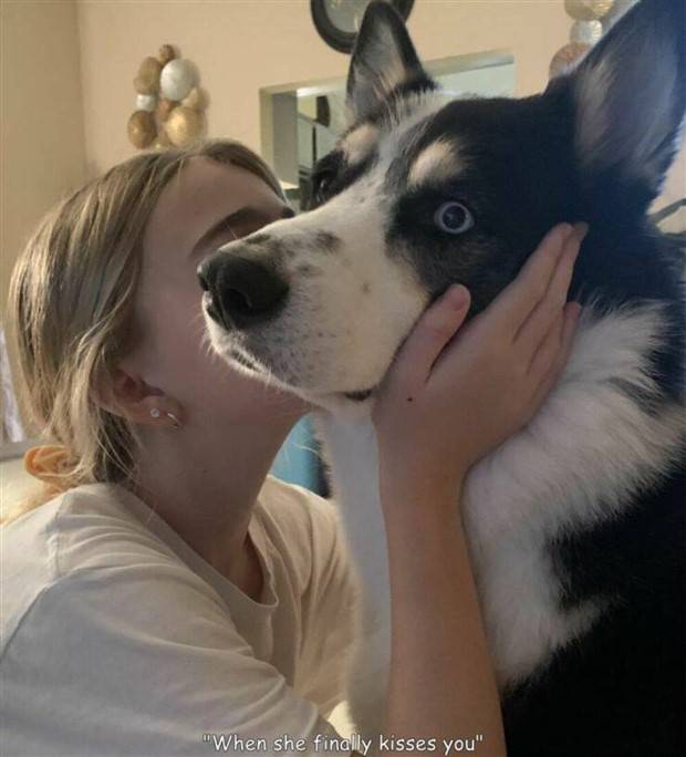 pictures with interesting captions 14 Interesting Pictures with Captions #90 (32 photos)