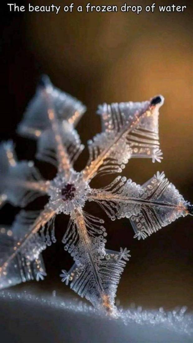 pictures with interesting captions 18 Interesting Pictures with Captions #90 (32 photos)