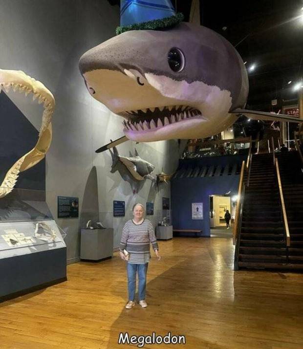 pictures with interesting captions 23 Interesting Pictures with Captions #90 (32 photos)