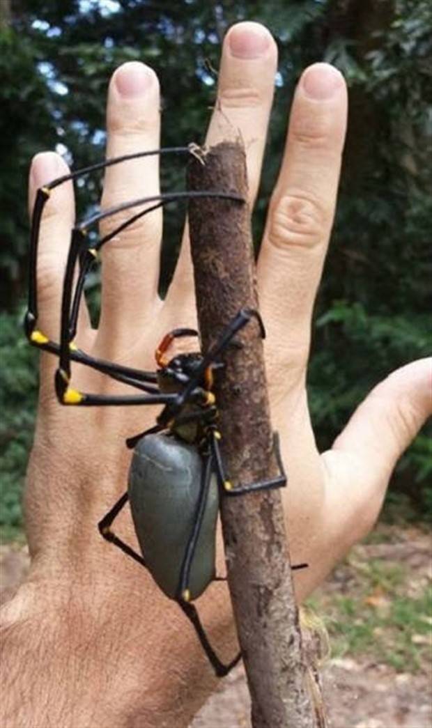 scary australia 14 44 Creepy Pics that Will Make you Scared of Australia (44 photos)