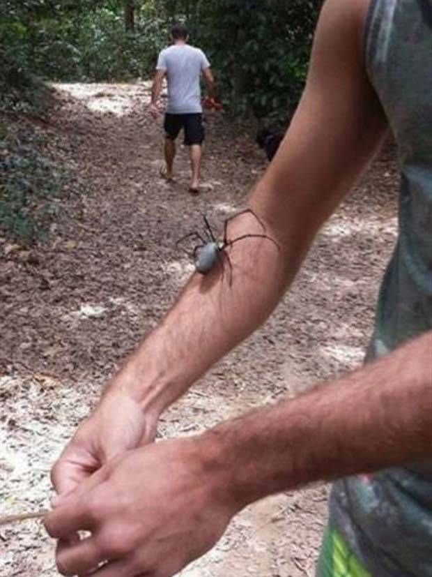 scary australia 26 44 Creepy Pics that Will Make you Scared of Australia (44 photos)