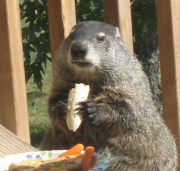 scary australia 29 44 Creepy Pics that Will Make you Scared of Australia (44 photos)