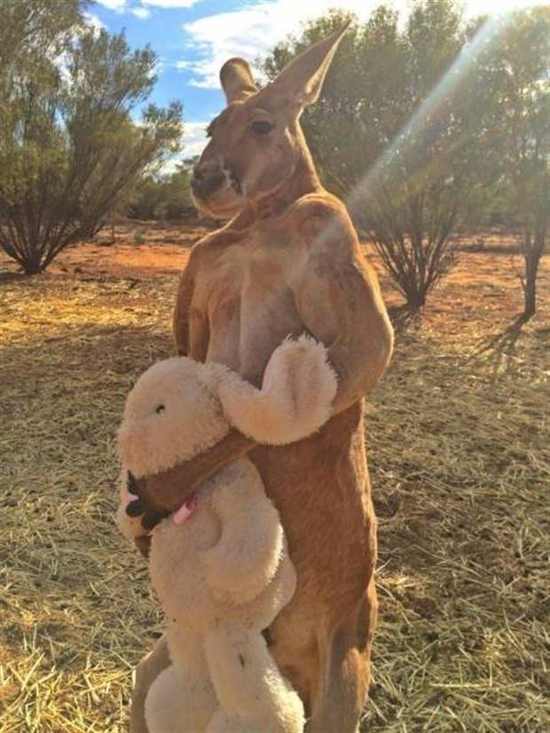 scary australia 40 44 Creepy Pics that Will Make you Scared of Australia (44 photos)