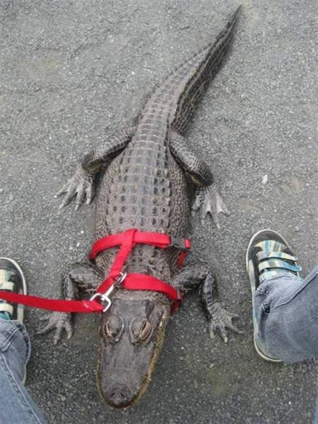 scary australia 42 44 Creepy Pics that Will Make you Scared of Australia (44 photos)