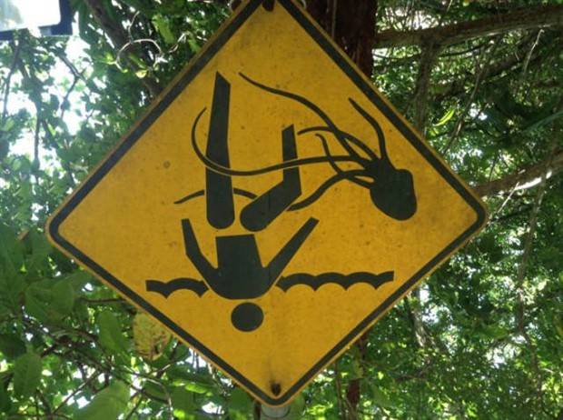 scary australia 8 44 Creepy Pics that Will Make you Scared of Australia (44 photos)