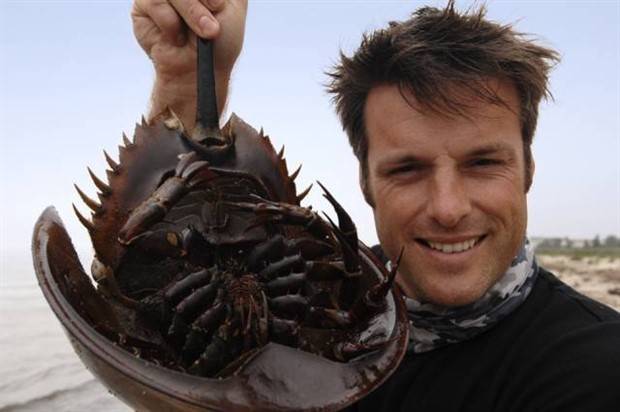 scary australia 9 44 Creepy Pics that Will Make you Scared of Australia (44 photos)