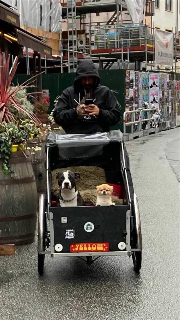 Get Ready for Funny Animals #319 (29 photos)