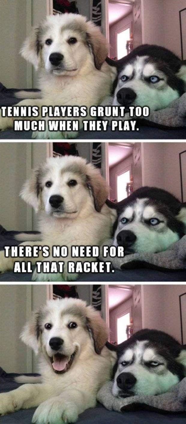 Get Ready for Funny Animals #319 (29 photos)